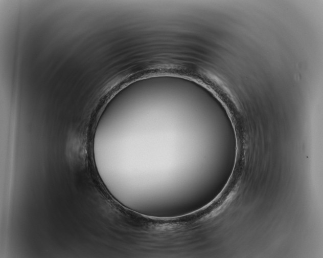 X0000094951017200712061247