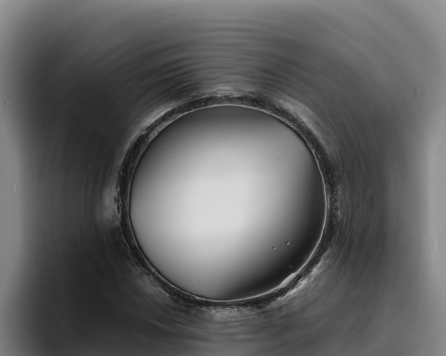 X0000094951018200712061247