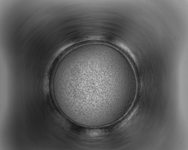 X0000094951019200712061247