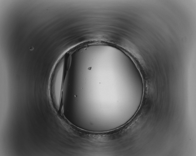 X0000094951020200712061247