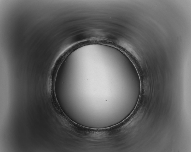 X0000094951021200712061247