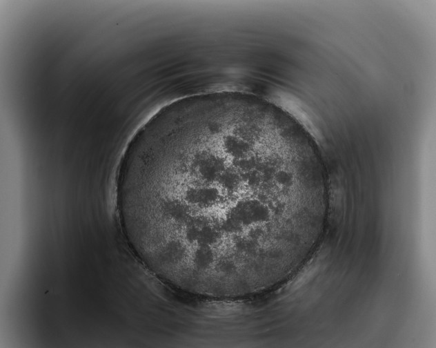 X0000094951023200712061247