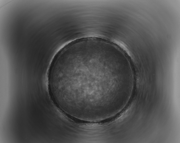 X0000094951024200712061247