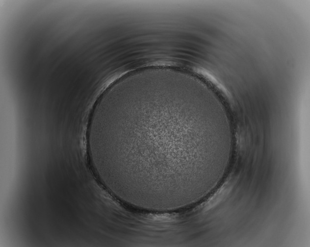 X0000094951025200712061247