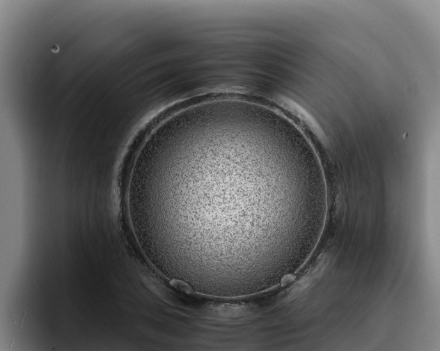 X0000094951027200712061247