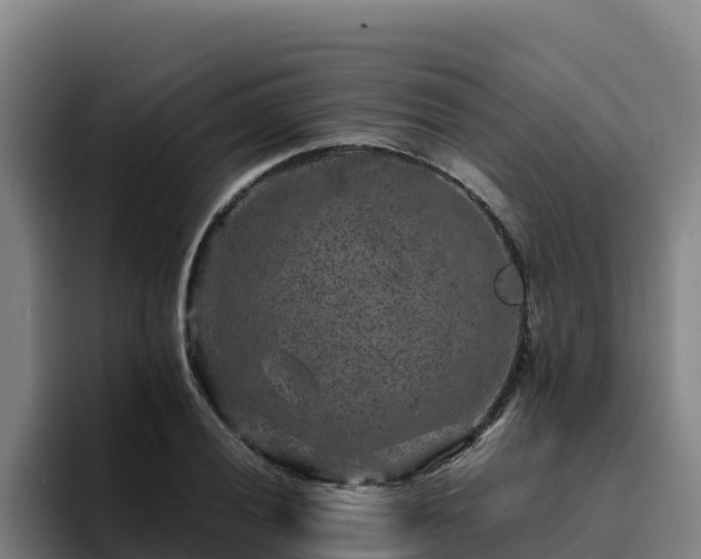 X0000094951028200712061247