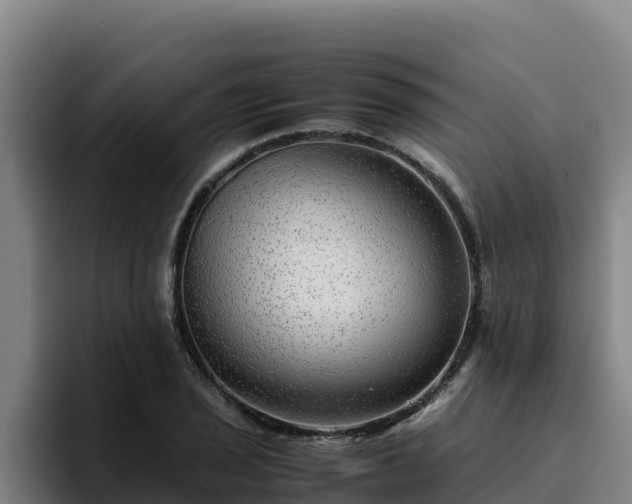 X0000094951029200712061247