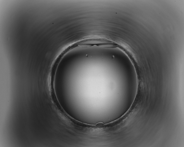 X0000094951030200712061247