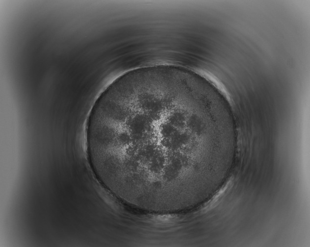 X0000094951031200712061247