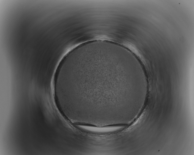 X0000094951032200712061247