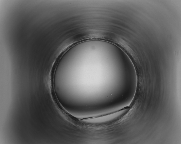 X0000094951034200712061247