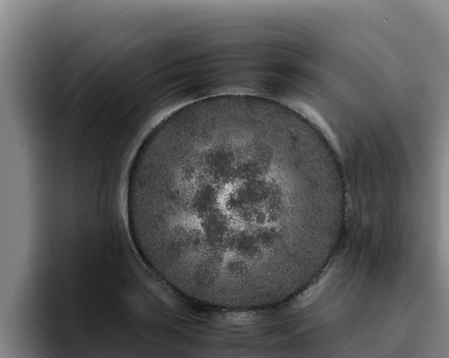 X0000094951035200712061247