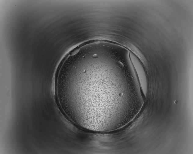 X0000094951036200712061247