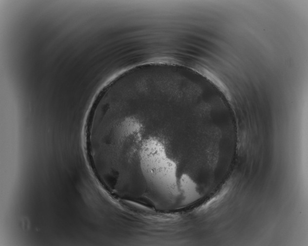 X0000094951037200712061247