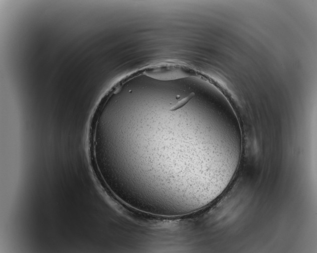 X0000094951038200712061247