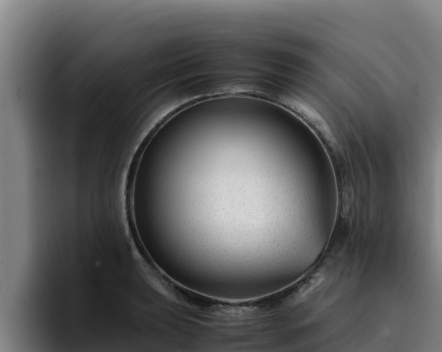 X0000094951039200712061247