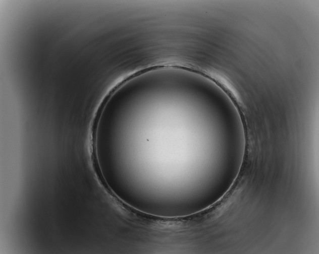 X0000094951040200712061247