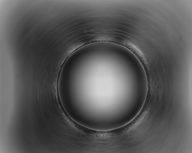 X0000094951041200712061247