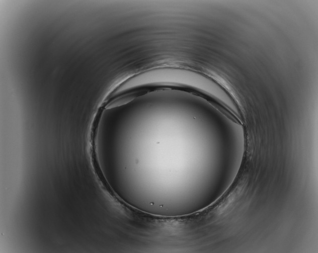 X0000094951042200712061247