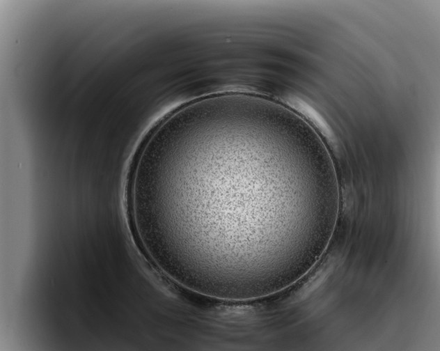 X0000094951043200712061247