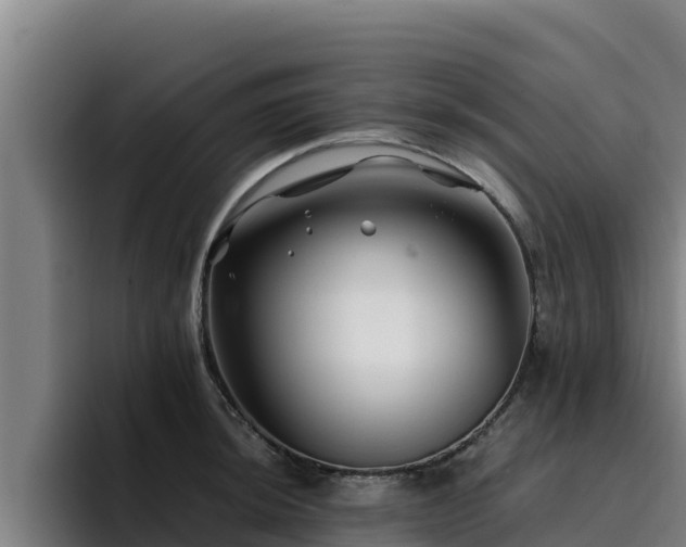 X0000094951044200712061247