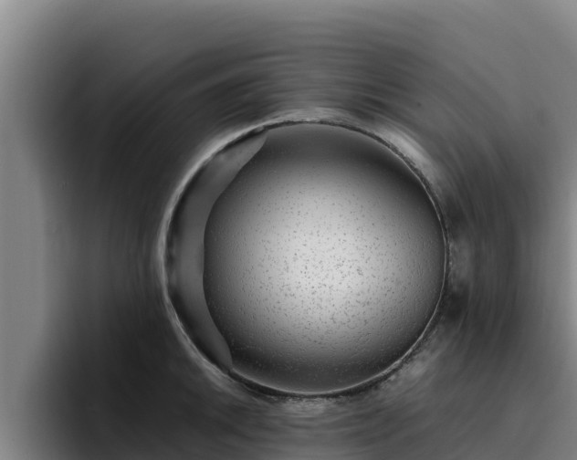 X0000094951046200712061247