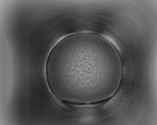 X0000094951047200712061247