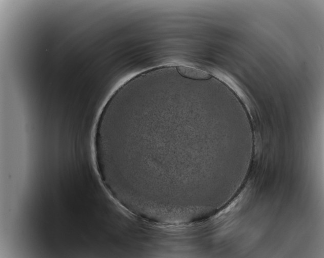 X0000094951048200712061247