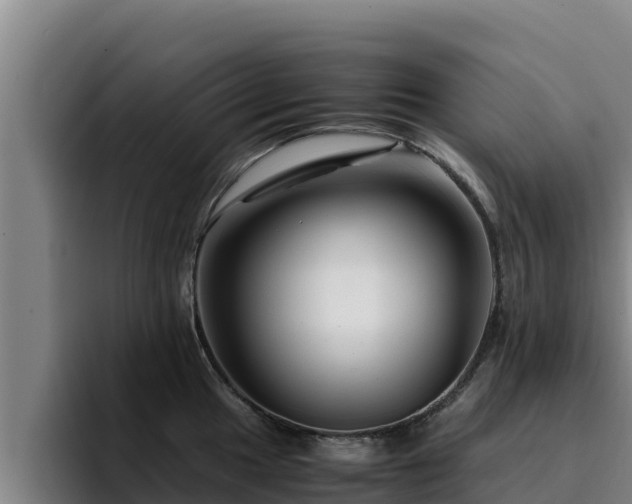 X0000094951049200712061247