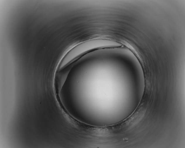 X0000094951050200712061247