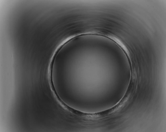 X0000094951053200712061247