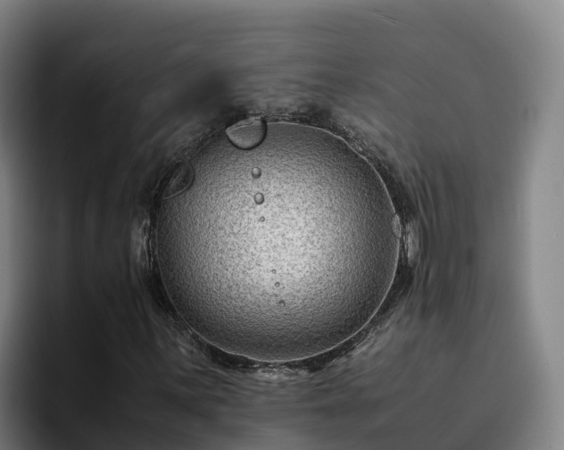 X0000094951059200712061247