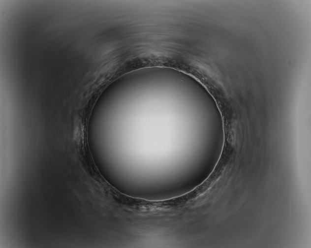 X0000094951061200712061247