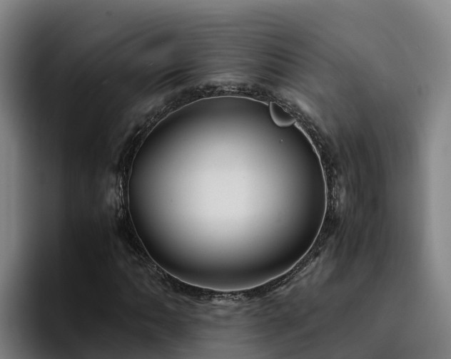 X0000094951062200712061247