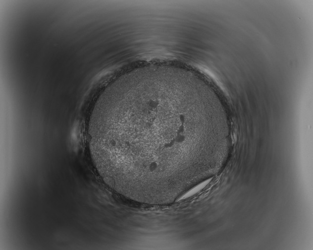 X0000094951063200712061247