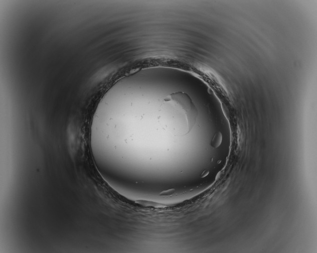 X0000094951064200712061247