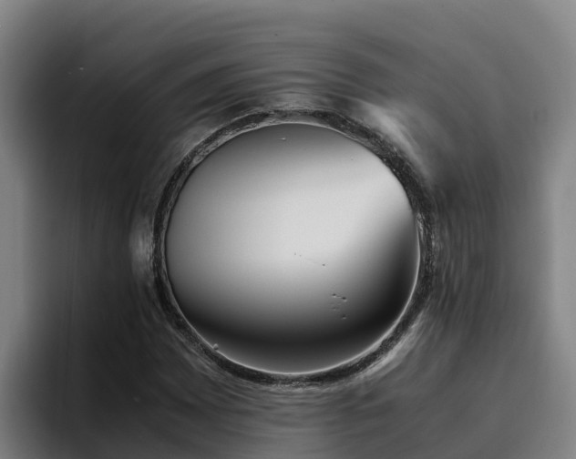 X0000094951065200712061247