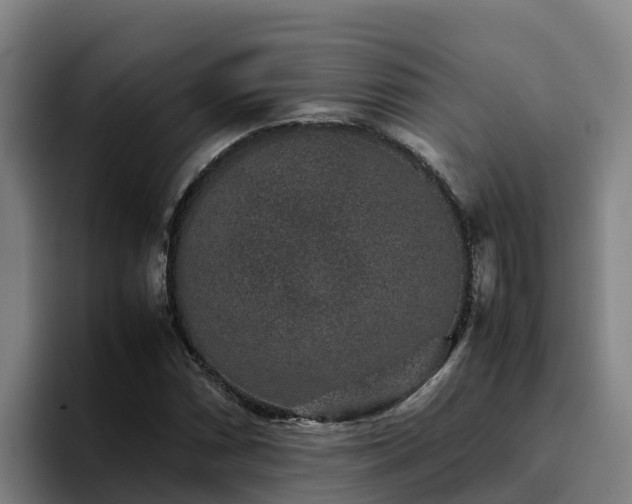 X0000094951066200712061247