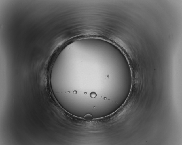 X0000094951067200712061247