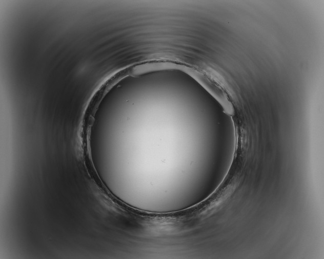 X0000094951068200712061247