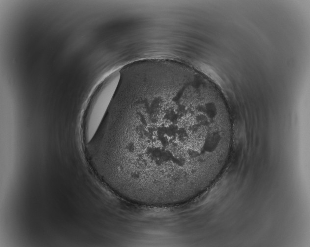 X0000094951071200712061246