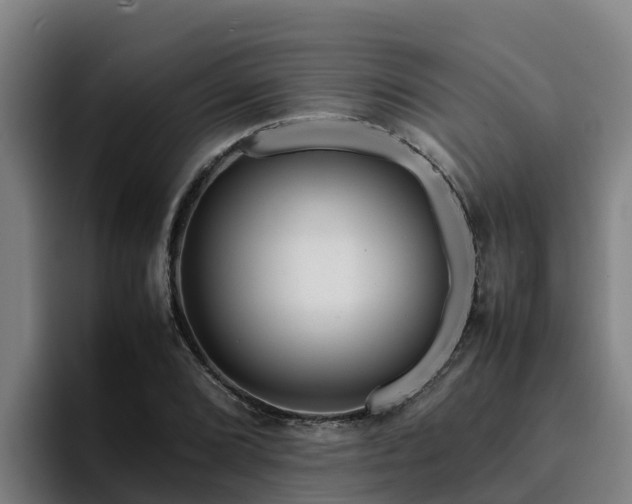 X0000094951072200712061246