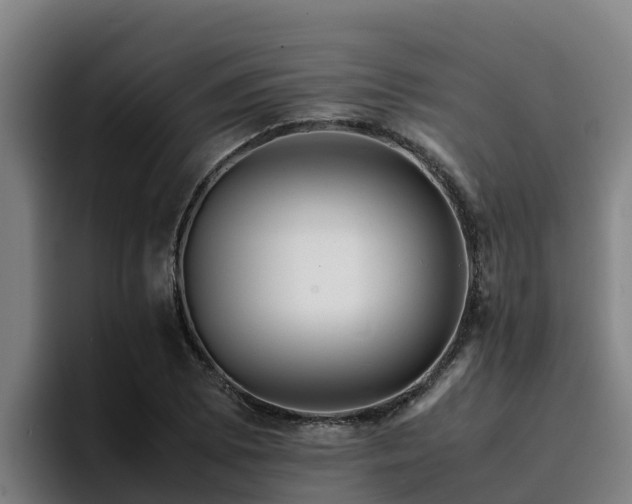 X0000094951073200712061246