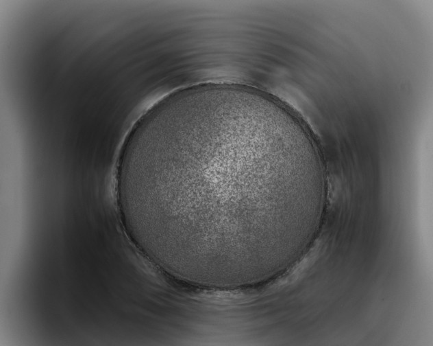 X0000094951074200712061246