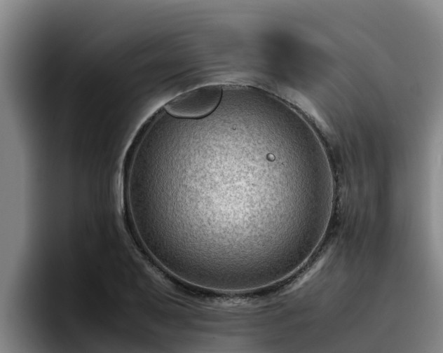 X0000094951079200712061246