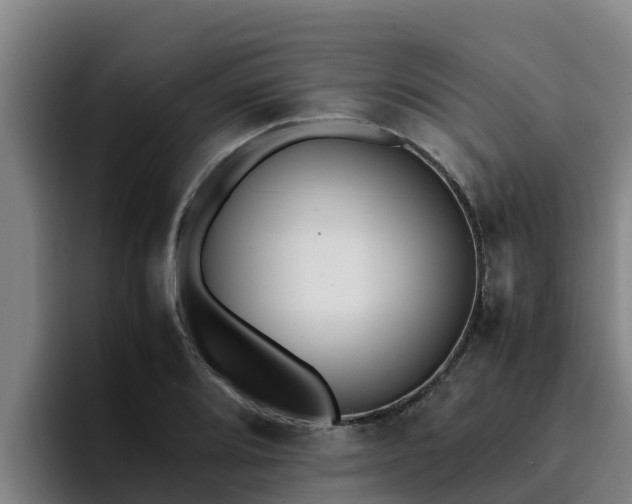 X0000094951080200712061246