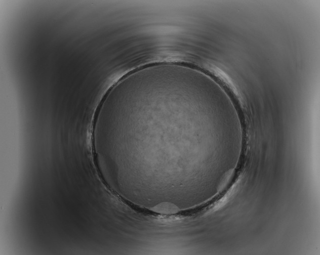 X0000094951081200712061246