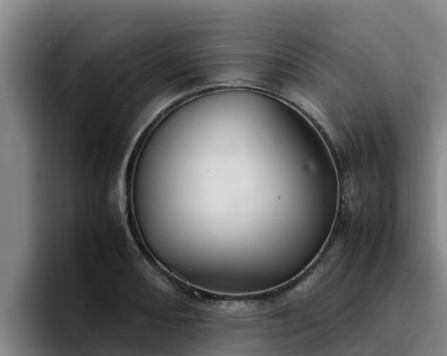 X0000094951082200712061246