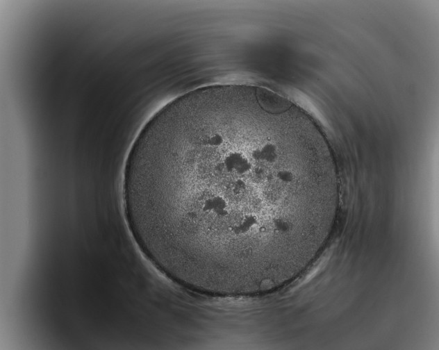 X0000094951087200712061246