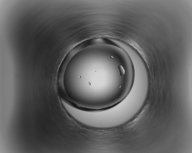 X0000094951089200712061246